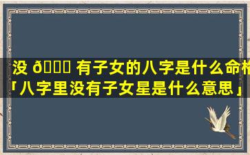 没 🍀 有子女的八字是什么命格「八字里没有子女星是什么意思」